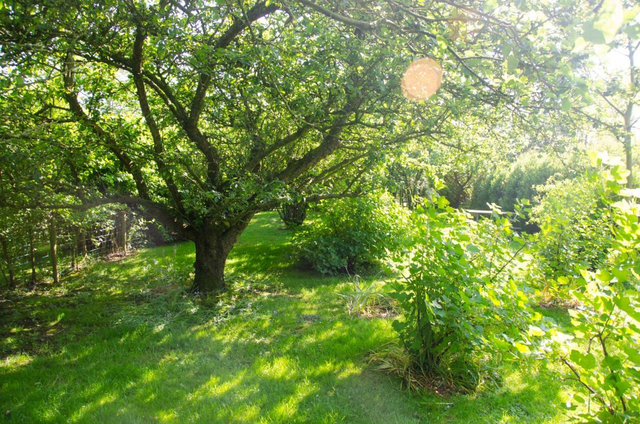 1 Hope Cottage Spilsby Esterno foto